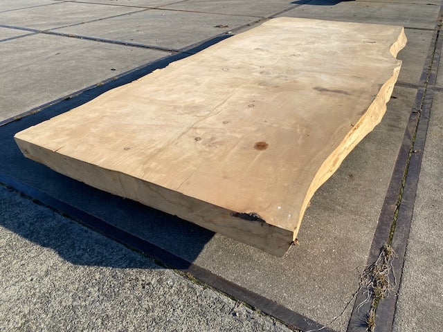 Cedar Live Edge Slab – 2860 x 1200 x 120 mm – Sanded