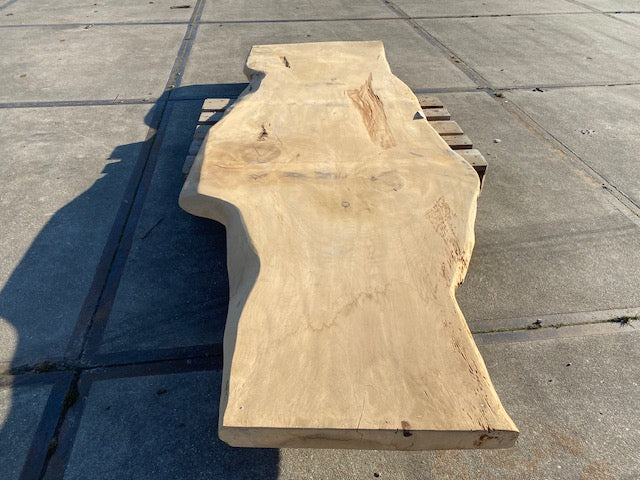 Ceder Boomstamblad – 2850 x 980 x 60 mm – Geschuurd