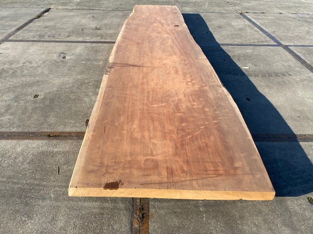 Planche en tronc d'Afrormosia – 4280 x 1060 x 80 mm – Ponçé