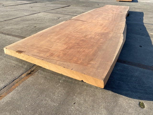 Planche en tronc d'Afrormosia – 4280 x 1060 x 80 mm – Ponçé