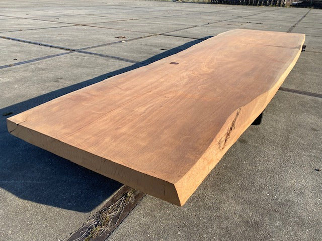 Planche en tronc d'Afrormosia – 4280 x 1060 x 80 mm – Ponçé