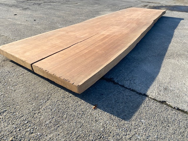 Planche en tronc d'Afrormosia – 4230 x 1210 x 80 mm – Geschuurd