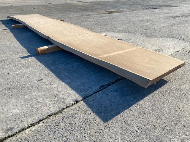 Planche en tronc d'Afrormosia – 4500 x 720 x 40 mm