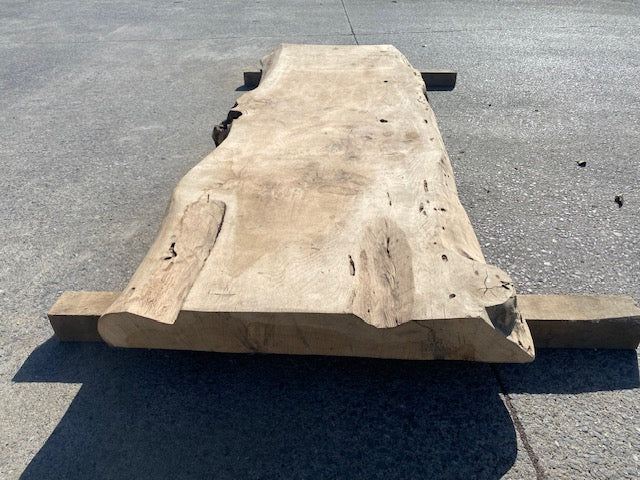 Poplar Log Leaf – 3480 x 760 x 80 mm – Sanded