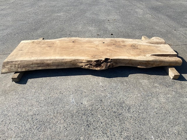 Poplar Log Leaf – 3480 x 760 x 80 mm – Sanded