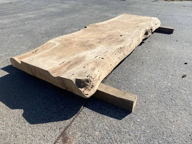 Poplar Log Leaf – 3480 x 760 x 80 mm – Sanded
