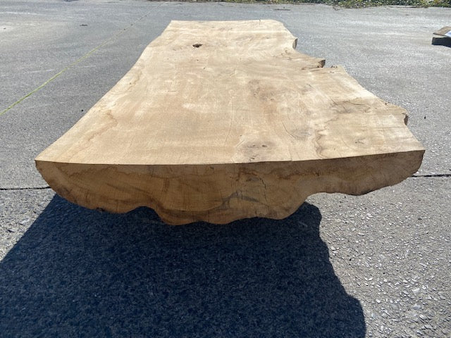 Planche en tronc de Chêne  – 4620 x 700 x 75 mm – Ponçé