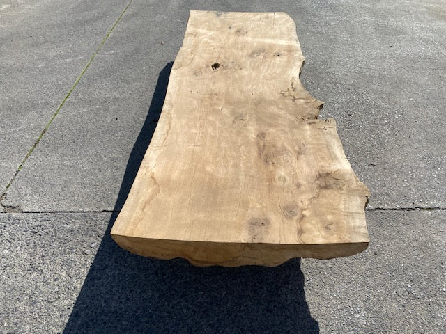 Planche en tronc de Chêne  – 4620 x 700 x 75 mm – Ponçé